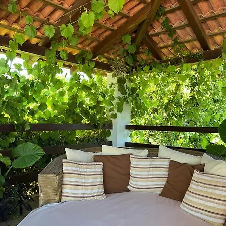 Gorana With Swimming Pool * Jelsa (Hvar)